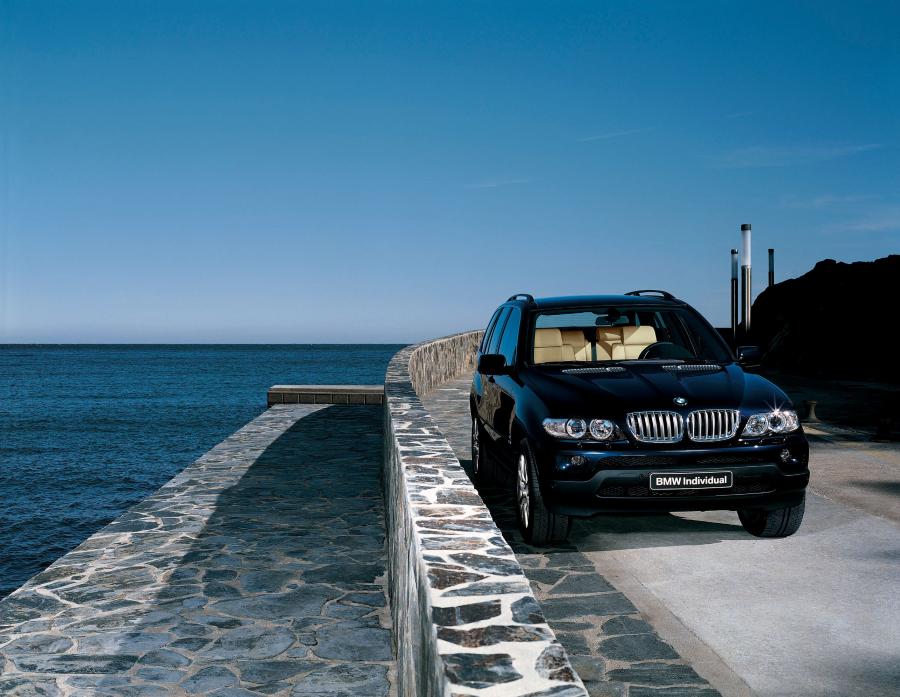  BMW X5 Individual (E53) 2003 года  (фото 1 из 2)
